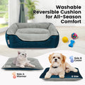 Miguel Dog Bed with Removable Cushion/Pillow for Medium Small Dogs, Washable Pet Bed with Side Easy to Wash Puppy Bed, L