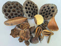 Seed Pod Aquarium Decor Botanical for Shrimp Hides and Breeding, Water Conditioner Betta Fish Botanicals, Isopods, Repti