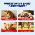 Wellix 4 oz (120 ml) Joint Supplement for Dogs & Cats, Hip & Joint Supplements with Glucosamine Chondroitin MSM, Turmeric Drops, Dogs & Cats Universal Formula, Mobility & Flexibility & Hip Support