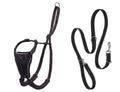 Halti No Pull Harness & Halti Training Leash Size Large, Black Combination Pack - Stop Your Dog Pulling on The Leash. Adjustable, Lightweight and Easy to Use. Suitable for Large Dogs