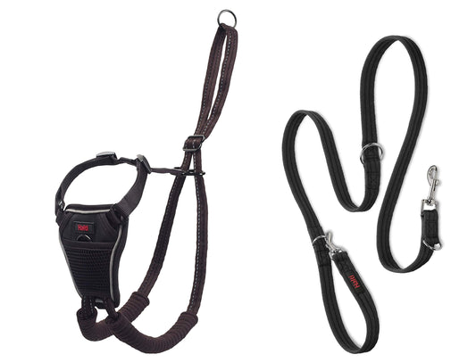 Halti No Pull Harness & Halti Training Leash Size Large, Black Combination Pack - Stop Your Dog Pulling on The Leash. Adjustable, Lightweight and Easy to Use. Suitable for Large Dogs