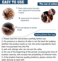 Flea and Tick Collar for Large Dog, Prevention and Control of Pests on Dogs, Safe Natural Ingredients Protection, Waterp
