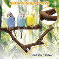 kathson 5pcs Natural Parrot Perch for Cage Wooden Bird Perches Grape Bird Stick Parakeet Climbing Standing Branches Toy 