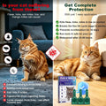 Topical Flea and Tick Product for Cats, 6 Doses, 0.8 mL Each, for Use Only as Directed on Product Label