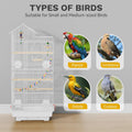 DWVO 62-inch Metal Bird Cage for Cockatiels, Parrots, Pigeons