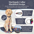 Lucky Love Dog Martingale Collar for Medium Dogs Cute – Blackbird, Medium