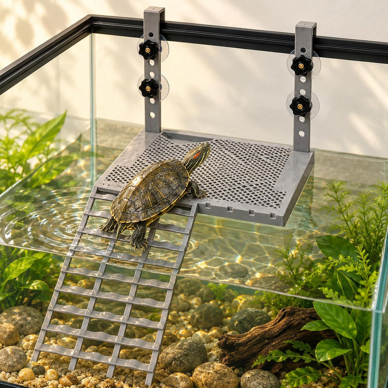 Turtle Basking Platform with Suction Cups & Adjustable Long Hooks