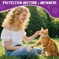 4 Pack Cats Flea & Tick Collars Long-Lasting Waterproof Collar