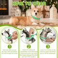 Dog Collar 2packs