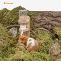 Niteangel Water Bottle with Stand for Syrian Dwarf Hamsters Gerbils Mice Rats Degus Small pet Rodents (White)