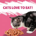 Just Try 13.4 OZ Urinary Tract Health Cat Treats for Indoor Cats