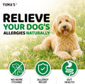 Dog Allergy Relief Chews - 240 Immune Treats - Dog Itching Skin Relief Treatment Pills - Anti-Itch - Itchy and Paw Licking - Omega 3 Fish Oil for Dogs Allergies - Dry Skin & Coat Supplement Vitamins