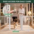 FXW AuraSpace Pro Clear Acrylic Indoor Dog Playpen, 32" H, 8 Panels