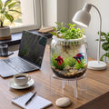 Thenshop 1.07 Gal Elliptical Cylinder Aquaponic Fish Tank Planter with Base
