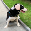 derYEP Dog Earmuffs for Hearing Protection 29dB NRR Ear Muffs Noise Protection