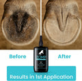 Zomp Liquid Hoof Thrush and White Line Treatment for Horses: Effective for Thrush Relief and Prevention on All Hooved An