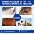 Horse Electrolytes Powder, Electrolyte for Horses with Sodium & Potassium, Equine Hydration Supplement 420g