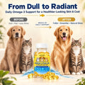 GJYC PET Fish Oil for Dogs & Cats – Deep Sea Omega-3 EPA & DHA for Skin & Coat Health – Daily Wellness Supplement with Vitamins A, D3 & E – 60 Softgels