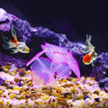 VOCOSTE Soft Silicone Aquarium Simulation Coral, Pink