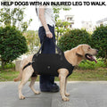 Coodeo Dog Lift Harness, Pet Support & Rehabilitation Sling Lift Adjustable Padded Breathable Straps for Old, Disabled, 