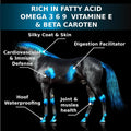 Equine & Horse Oil Supplement 3 Natural Oils Flaxseed Sunflower Carrot Omega 3 6 9 Vitamin E Silky Coat & Hoof Digestion