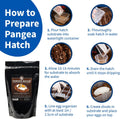 Pangea Hatch Premium Reptile Egg Incubation Substrate, 2 lb