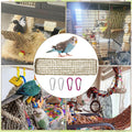 Bird Seagrass Mat 30 x 7 Inch Natural Seagrass Woven Bird Net, Parakeet Climbing Rope Ladder, Hammock Climbing Rope Ladder with Hooks, Chew Toys for Parrots Lovebird Cockatiel Budgie Hamster