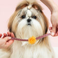 WILLBOND 30 Pcs Dog Collar Flowers Bulk Dog Collar Charms Pet Flower Bow Ties for Cat Puppy Grooming Accessories, 30 Colors