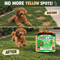 Grass Burn Spot Chews for Dogs - Dog Urine Neutralizer for Lawn, Rocks