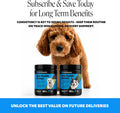Wild Alaskan Salmon Oil for Dogs Omega 3 Fish Oil Chews - Skin + Coat Supplement for Itchy Skin Relief, Dry Skin, Hot Spots + Shedding Control - Supplements with Vitamin E + Vitamin C (Salmon, 90 Ct)