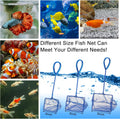 3 Aquarium Fish Net Fine Mesh Quick Catch Skimmer 4/5/6 Inch Blue