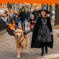 Dog Halloween Costumes for Large Dogs, Dog Bat Wings with Pumpkin Bell Pet Halloween Cosplay Party Dress Up