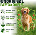 Flea and Tick Prevention for Dogs Chewables, Natural Flea & Tick Control