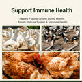 Adaman Dried Mealworms -10 LBS- 100% Natural Non GMO High Protein Mealworms - Bulk Meal Worms for Chickens & Birds, Ducks - Best Chicken Treats, Bird Food, Turtle Food