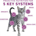 Purina ONE Plus Whole Body Support with Chicken Dry Cat Food - 3.5 lb. Bag