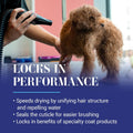 Chris Christensen After U Bathe Final Rinse Solution, Groom Like a Professional, Adds Moisture and Resilience, No Waxes/