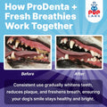 Pup Labs ProDenta & Fresh Breathies Bundle, All-Natural Dog Breath Fresheners, Dental Powder & Chews for Clean Teeth, Fr