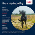 Halti No Pull Dog Harness | Size