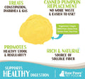 Raw Paws Organic Pumpkin Powder for Dogs & Cats (4-Ounce) - Made in USA - Fiber for Cats - Healthy Stool - Diarrhea & Constipation Relief - Dried Pumpkin for Dogs - Dog Food Topper