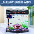 3 Gallon Glass Aquarium Betta Kit with Flip-Top Port