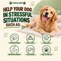 Hemp Calming Chews for Dogs Anxiety & Stress Relief - 170 Dog Calming Chews