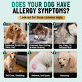 Dog Allergy Chews is Human Grade Itch Relief Multivitamin & Immune Yeast