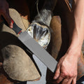 Gisafai 2 Pcs 18 and 12 Inch Rasps for Shoeing Horses with Handle Trimming File Carbon Steel Farrier Tools for Repair Ho