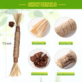 Silvervine Sticks Cat Chew Toys for Indoor Cats Dental Care Teeth Cleaning, Natural Kitten & Cat Teething Toys for Health, Cat Chew Stick Treat Edible Suitable for All Breeds of Aggressive Chewers Cat