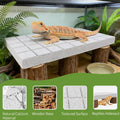 Bearded Dragon Shedding Rock, Bearded Dragon Pumice Stone Platform for Shedding, Calcium Stone with Wooden Pile, Reptile