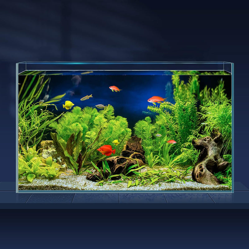 LAQUAL 10 Gallon Ultra Clear Glass Fish Tank, Rimless Low Iron Aquarium for Betta/Nano/Goldfish/Snail/Shrimp, Big Fish T