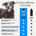 Pet Honesty Chlorhexidine Cat & Dog Seasonal Itch Relief Shampoo, for Allergies, Itching, Skin and Coat Supplement, Helps Shedding, Hot Spots, Deodorizing Dog Shampoo & Grooming Supplies,16oz