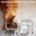 Hannadepot Elevated Cat Bowls, 15° Tilted Glass Raised Cat Food Bowl with Stainless Steel Stand, 2 Large Capacity Glass Cat Bowls and 4 Anti Slip Feet, Suitable for Cats and Little Dogs