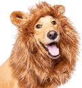 Lion Mane Costume and Big Dog Lion Mane Wig - Large Dog Costumes by Pet Krewe