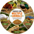 MEILLEURE 5lbs Dried Black Soldier Fly Larvae for Chickens - 100% Natural BSF Larvae More Calcium Than Dried Mealworms - High Protein BSFL Chicken Treats for Laying Hens Ducks Birds